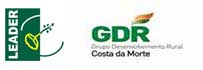 Leader Gdr Logo